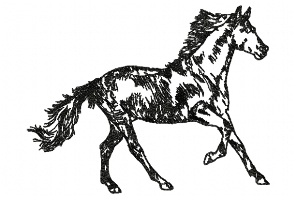 Horse Line: A Designer's Review for Small Business Merch